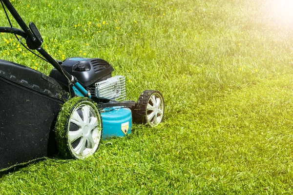 Beautiful girl cuts the lawn, Mowing lawns, Lawn mower on green grass, mower grass equipment, mowing gardener care work tool, close up view, sunny day. Soft lighting