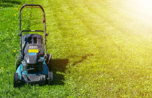 Mowing lawns, Lawn mower on green grass, mower grass equipment, mowing gardener care work tool, close up view, sunny day. Soft lightning