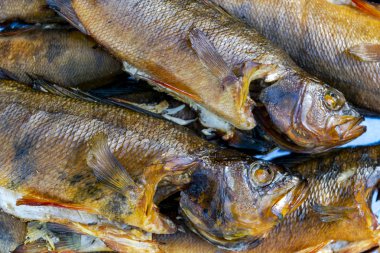 Sıcak füme balık. Duman. Füme et. Füme balık. Oda söz konusu pişmiş. Levrek. Füme balık arka plan. 