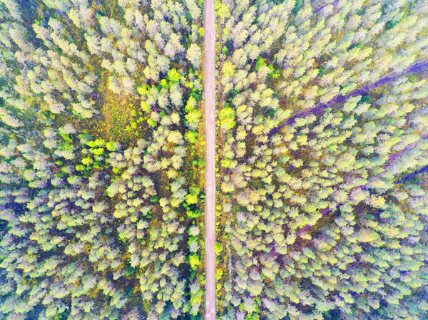 Aerial view of a country road in the forest. Beautiful landscape. Captured from above with a drone. Aerial bird's eye road. Aerial top view forest. Texture of forest view from above.