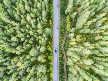 Arabalar hareket ile orman bir ülkede yol hava görünümünü. Güzel manzara. Yukarıdan bir dron ile ele geçirdi. Havadan kuşbakışı göz yol araba ile. Hava üstten görünüm orman. Orman manzaralı yukarıdan dokusuna.