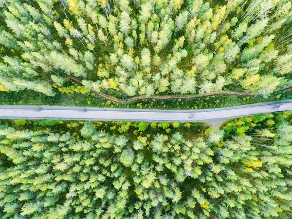 Luftaufnahme Einer Landstraße Wald Schöne Landschaft Wolken Über Dem Grünen — Stockfoto