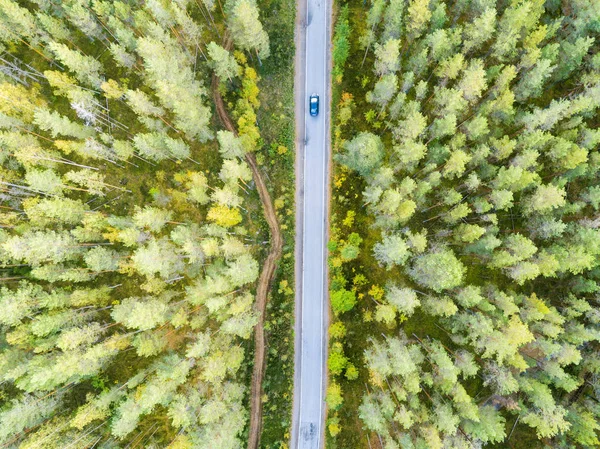 Luftaufnahme Einer Landstraße Wald Mit Fahrenden Autos Schöne Landschaft Von — Stockfoto