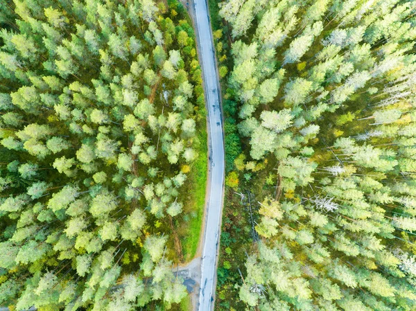 Luftaufnahme Einer Landstraße Wald Mit Fahrenden Autos Schöne Landschaft Von — Stockfoto