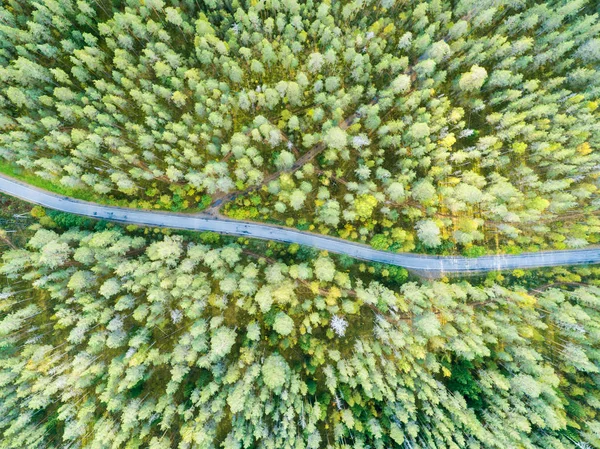 Letecký Pohled Venkovské Silnici Lese Přesunem Aut Krásná Krajina Zachytil — Stock fotografie