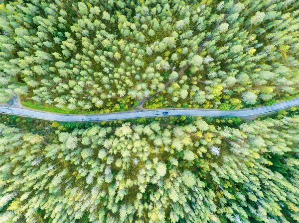 Luftaufnahme Einer Landstraße Wald Mit Fahrenden Autos Schöne Landschaft Von — Stockfoto