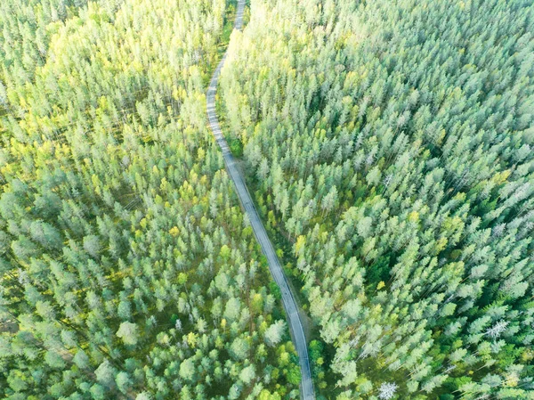 Luftaufnahme Einer Landstraße Wald Mit Fahrenden Autos Schöne Landschaft Von — Stockfoto