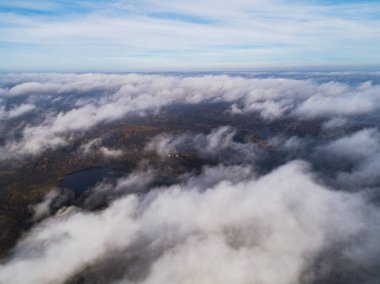 Havadan görünümü üzerinden canlı sonbahar renkleri sırasında orman. Deniz kıyısı taşlı hava görünümünü. Su ve kum kıyı şeridi. Orman sarı ağaçları ve güzel göl manzara yukarıdan hava dron görünümü