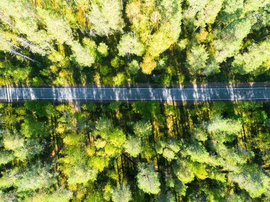 Arabalar hareket ile orman bir ülkede yol hava görünümünü. Güzel manzara. Yukarıdan bir dron ile ele geçirdi. Havadan kuşbakışı göz yol araba ile. Hava üstten görünüm orman. Orman manzaralı yukarıdan dokusuna.