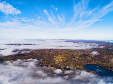 Havadan görünümü üzerinden canlı sonbahar renkleri sırasında orman. Deniz kıyısı ve bulutlar hava görünümünü. Su ve kum kıyı şeridi. Orman manzarası hava dron. Hava üstten görünüm cennet. Bulutlar doku. 