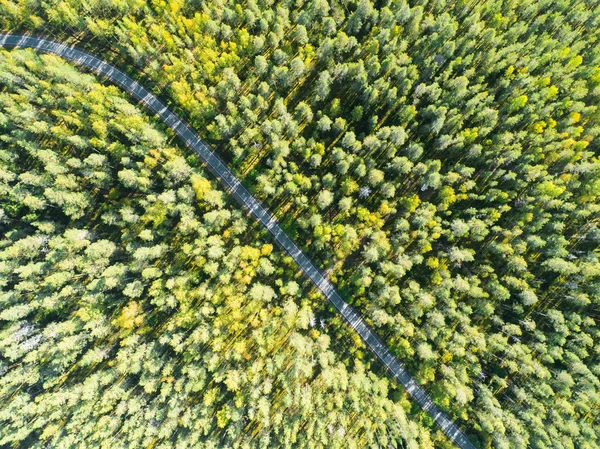 Вид Воздуха Проселочную Дорогу Лесу Движущимися Автомобилями Красивый Пейзаж Захвачен — стоковое фото