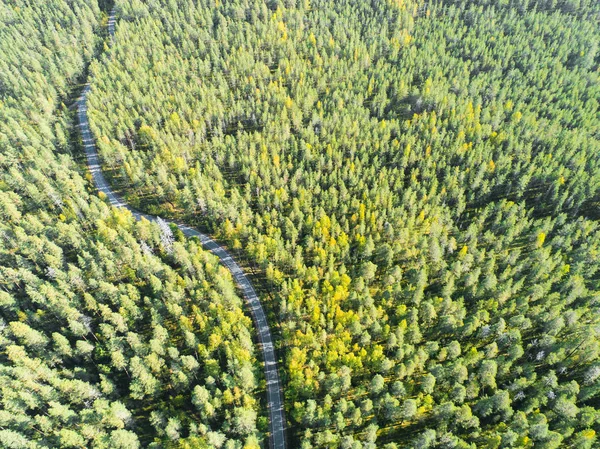 Vista Aerea Una Strada Campagna Nella Foresta Con Auto Movimento — Foto Stock