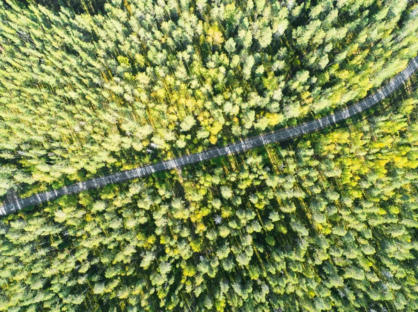 Vista Aérea Una Carretera Campo Bosque Con Coches Movimiento Hermoso —  Fotos de Stock