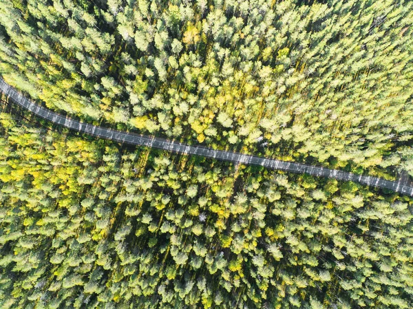 Arabalar Hareket Ile Orman Bir Ülkede Yol Hava Görünümünü Manzara — Stok fotoğraf