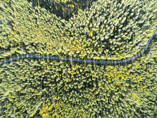Вид Повітря Заміську Дорогу Лісі Рухомими Машинами Пейзаж Захоплений Зверху — стокове фото