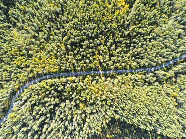 森林中一条乡村道路的鸟图与移动的汽车 用无人机从上面拍摄 空中鸟的眼睛路与汽车 顶部景观林 从上面看森林景观的纹理 — 图库照片