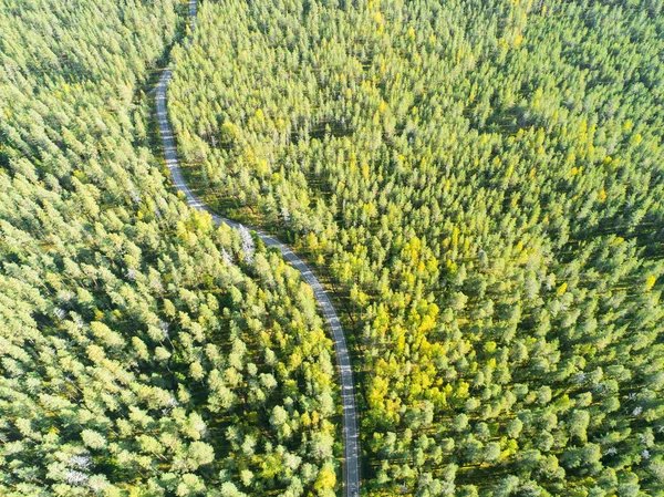 Vista Aérea Uma Estrada Rural Floresta Com Carros Movimento Paisagem — Fotografia de Stock