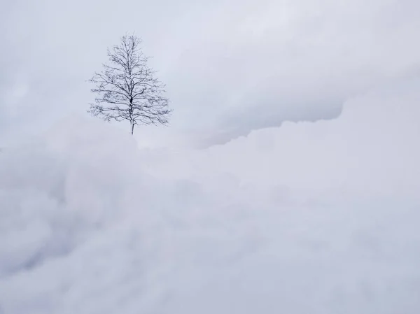 Zimowy Krajobraz Biały Śnieg Powyżej Drzewa Zimowy Krajobraz Panorama Drzew — Zdjęcie stockowe