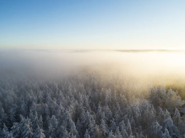 Kış renkleri sırasında orman üzerinde hava görünümünü bulutlar. Havadan görünümü orman ve bulutlar. Hava dron manzara orman. Hava üstten görünüm cennet. Bulutlar doku. 