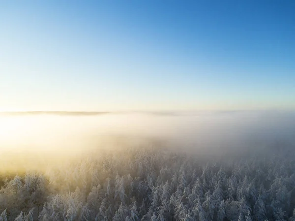 Облака Воздушного Вида Над Лесом Время Зимних Цветов Вид Воздуха — стоковое фото
