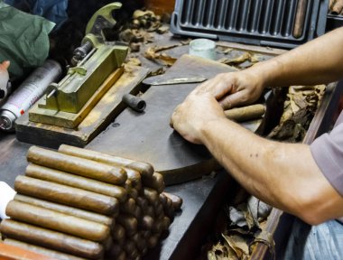 Puro Tütün Fabrikası'nda geleneksel imalatı. Closeup eski bir puro tütün yaprakları gelen geleneksel puro imalatında yapma eller. Bir puro tütün yaprakları gelen yapım el yakın çekim.