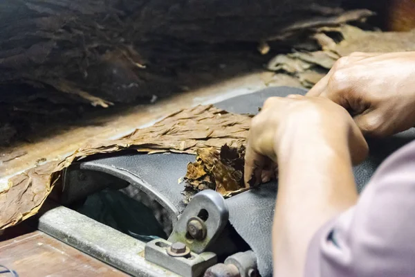 Tradycyjnej Produkcji Cygar Fabryce Tytoniu Zbliżenie Ręce Starych Dokonywanie Cygaro — Zdjęcie stockowe