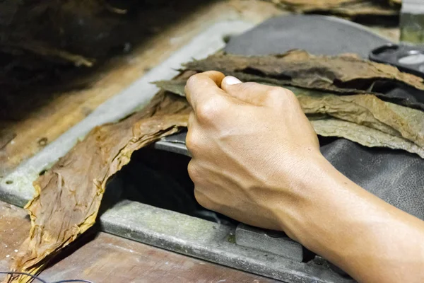 Παραδοσιακή Κατασκευή Πούρα Στο Εργοστάσιο Καπνού Closeup Της Παλιάς Χέρια — Φωτογραφία Αρχείου