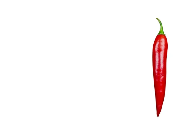 Rote Scharfe Chilischote Isoliert Auf Weißem Hintergrund — Stockfoto