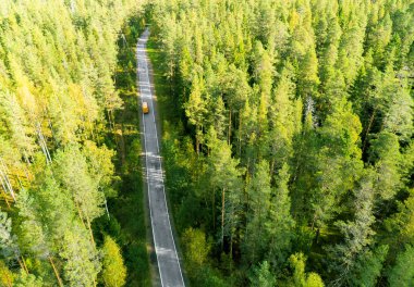 Arabalar hareket ile orman bir ülkede yol hava görünümünü. Güzel manzara. Yukarıdan bir dron ile ele geçirdi. Havadan kuşbakışı göz yol araba ile. Hava üstten görünüm orman. Orman manzaralı yukarıdan dokusuna.