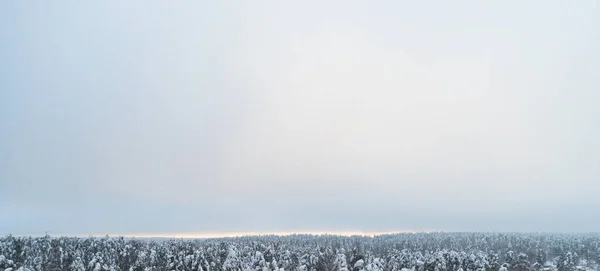 Vista aerea nuvole sopra foresta durante i colori invernali. Veduta aerea della foresta e delle nuvole. Veduta aerea drone della foresta. Vista aerea dall'alto cloudscape. Texture delle nuvole . — Foto Stock