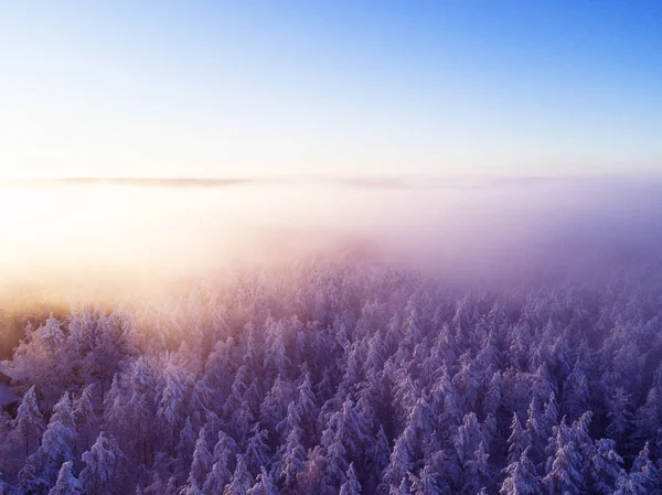 Nuvens de visão aérea sobre a floresta durante as cores de inverno. Vista aérea da floresta e nuvens. Vista aérea de drones da floresta. Vista aérea superior cloudscape. Textura de nuvens . — Fotografia de Stock