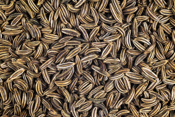Macro shot de sementes de alcaravia orgânica secas. Fundo de sementes de alcaravia. Textura de tempero natural. Fechar . — Fotografia de Stock