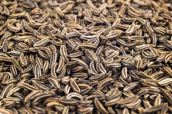 Macro shot of dried organic caraway seeds. Caraway seeds background. Natural seasoning texture. Close up.