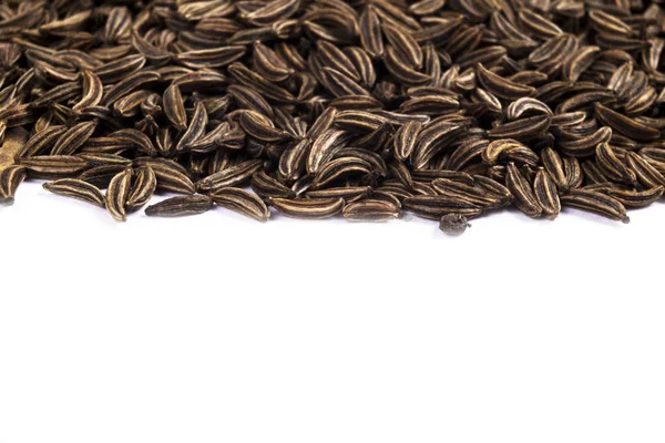 Macro shot of dried organic caraway seeds. Caraway seeds isolated on white background. Natural seasoning texture. Close up. — Stock Photo, Image