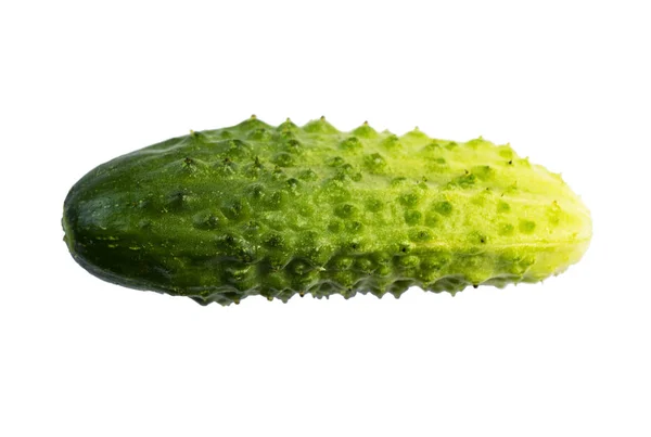 Pepino verde fresco aislado sobre fondo blanco. Un primer plano de pepino aislado en blanco . — Foto de Stock