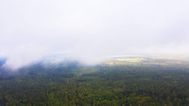 Hava aracı yeşil orman ve göl üzerindeki bulutları görüyor. Alçakta yatan bulut. Tropikal yağmur ormanlarının hava manzarası. Gökyüzündeki bulutların üstünde. İHA 'dan üst görünüm