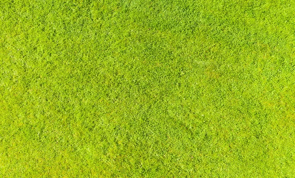 Vue aérienne de la pelouse verte fraîche d'été dans le parc. fond texturé naturel. Vue de dessus depuis un drone. Modèle et texture d'herbe verte. Fond de pelouse verte — Photo