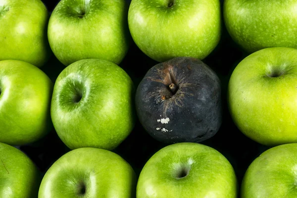 7,300+ Rotten Apple Stock Photos, Pictures & Royalty-Free Images - iStock