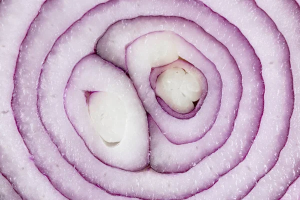 Fatias de cebola isolada. Uma cebola inteira vermelha isolada no fundo branco com caminho de recorte e espaço de cópia. Cebola vermelha fatias bulbos isolados em branco . — Fotografia de Stock