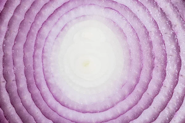 Scheiben isolierte Zwiebel. eine rote ganze Zwiebel isoliert auf weißem Hintergrund mit Ausschnittpfad und Kopierraum. rote Zwiebelscheiben Zwiebeln isoliert auf weiß. — Stockfoto