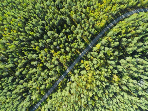 Vista aerea di una strada di campagna nella foresta con auto in movimento. Bellissimo paesaggio. Catturati dall'alto con un drone. Strada aerea a volo d'uccello con auto. Foresta aerea vista dall'alto. Texture della vista foresta dall'alto — Foto Stock