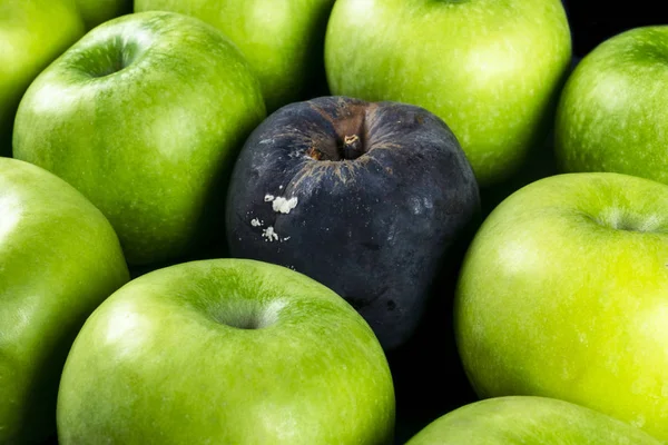 Ruttna äpplen och färskt äpple. Begreppet korruption. Begreppet dåliga människor i samhället. Rutten äpple omgiven av färsk. — Stockfoto