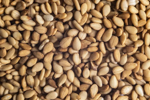 Macro shot van een rauwe witte sesamzaadachtergrond. Bovenaanzicht. Voedselachtergrond. Een verstrooiing van sesamzaad. Gezond eten. Natuurlijke voeding. — Stockfoto