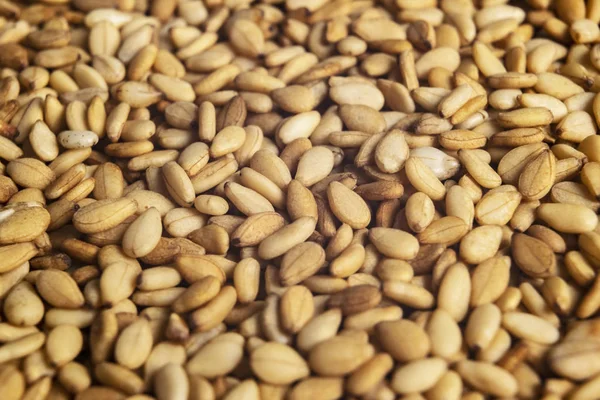 Macro shot de um fundo de semente de sésamo branco cru. Vista superior. Contexto da comida. Um espalhamento de sementes de sésamo. Comida saudável. Alimentos naturais . — Fotografia de Stock