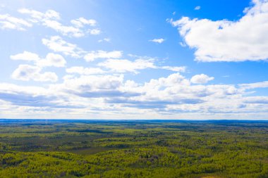 Yeşil bir ormanın havadan görünümü. Güzel manzara. Bulutlar üzerinde yeşil orman. Havadan kuşbakışı göz ağaçlar. Hava üstten görünüm orman. Orman manzaralı yukarıdan doku. Üstten görünüm