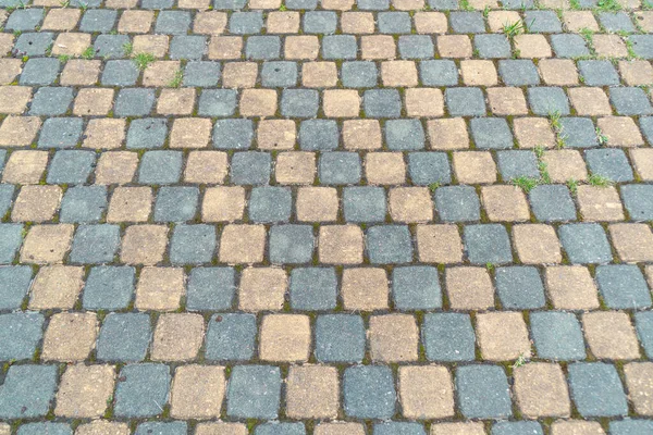 Sidewalk Tiles Closeup Paving Slabs Background Street Paving Slabs Cement — Stock Photo, Image