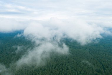 Orman ve göl üzerindeki hava manzaralı bulutlar. İnsansız hava aracı görüntüsü. Üst hava manzarası bulutlu. Bulutların dokusu. Yukarıdan bak. Bulutların üstünde gün doğumu veya gün batımı