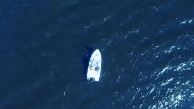 Okyanusta teknede hava manzaralı balıkçı. Teknede üst düzey balıkçılık. Balıkçıyla hava manzaralı balıkçı teknesi. Okyanus suyu dalgası yansımaları. Okyanusta motorlu tekne.