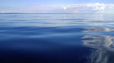 Kristal berrak su dokusunun görüntüsü. Doğal arka plan. Dalgalı su yansıması. Dalgalar. Dalgalar sıçramalarla hareket ediyor.