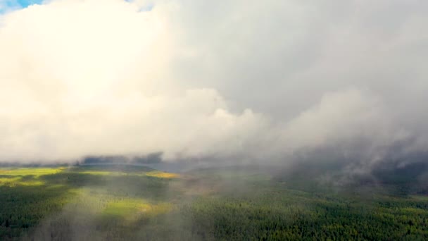 Lapso Tiempo Hermoso Cielo Azul Con Nubes Sobre Bosques Pinos — Vídeo de stock